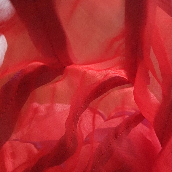 Ecote Orange Sheer Front Top with Navy Detail - Picture 7 of 10